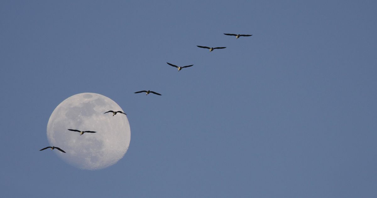 Volle maantocht Natuurmonumenten